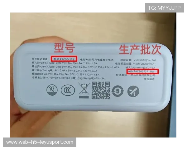 召回事件频发，便携电源行业面临信任危机？，便携式电源的英文